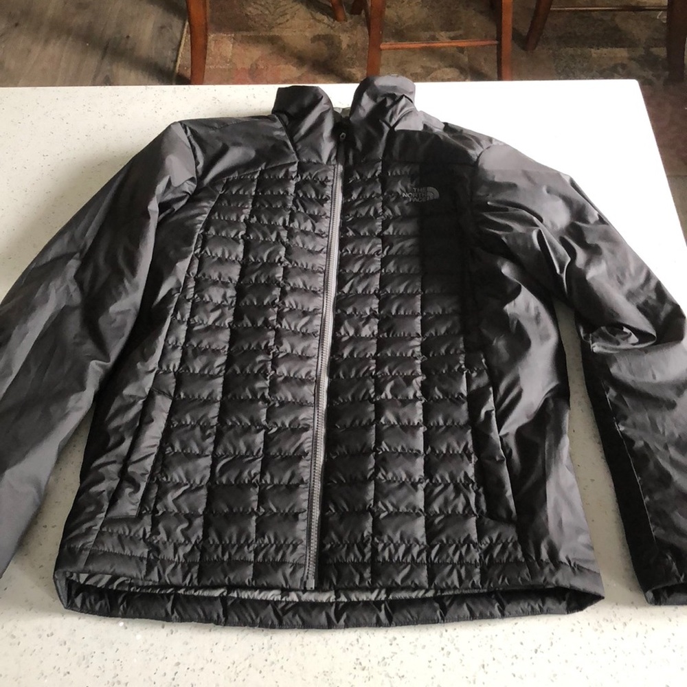 The north face mens windbreaker